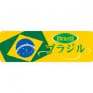 【250701】ブラジル(国旗)